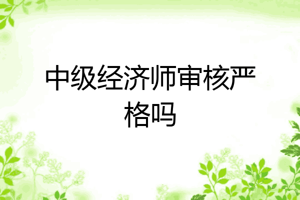 中级经济师审核严格吗