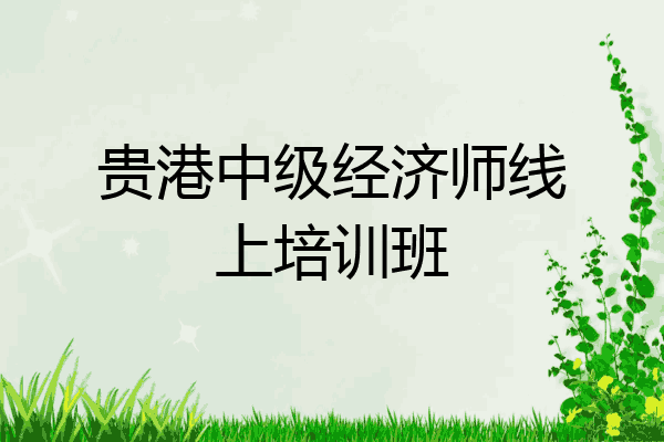 贵港中级经济师线上培训班
