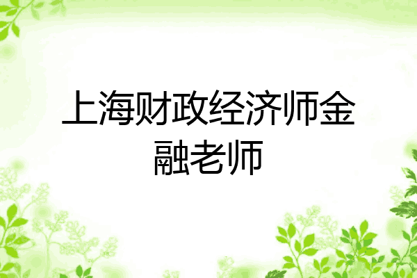 上海财政经济师金融老师