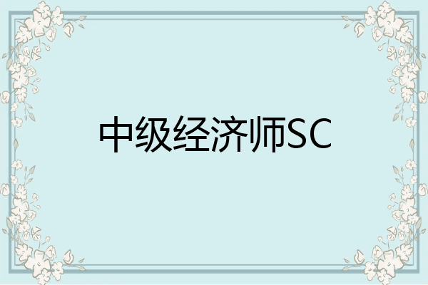 中级经济师SC