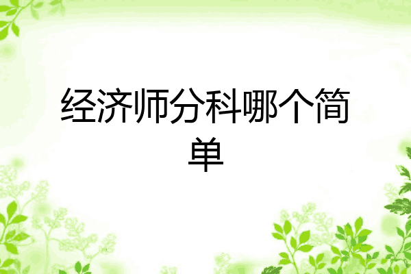 经济师分科哪个简单