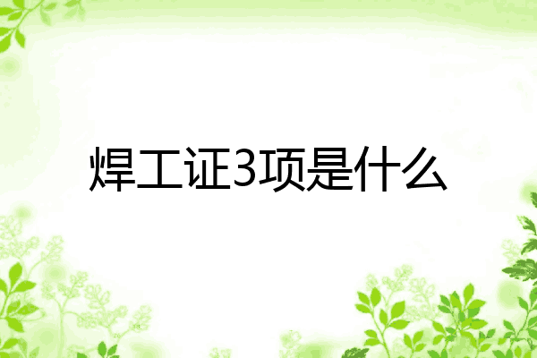 焊工证3项是什么