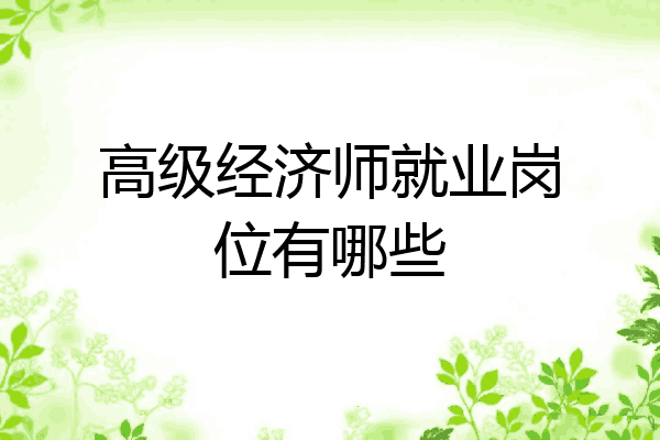 高级经济师就业岗位有哪些