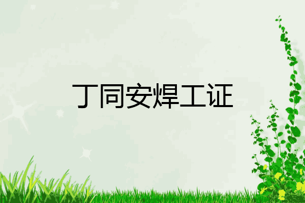 丁同安焊工证