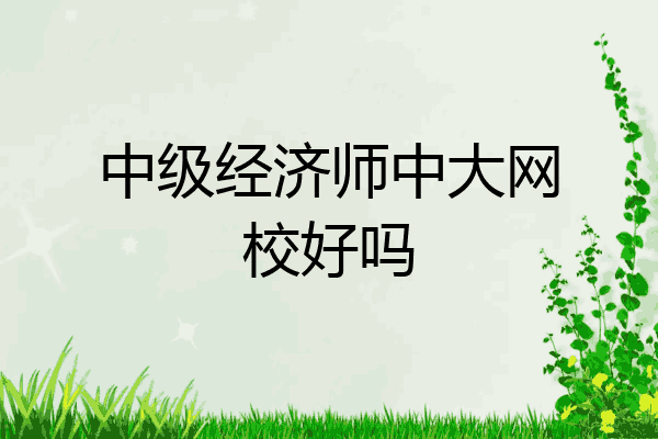 中级经济师中大网校好吗