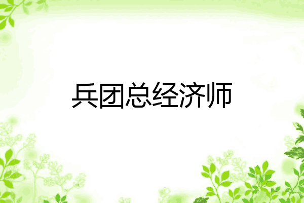 兵团总经济师