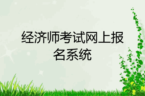 经济师考试网上报名系统