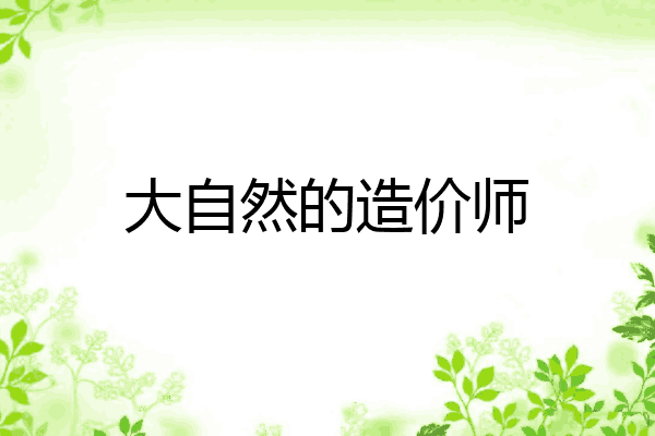 大自然的造价师