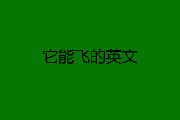 它能飞的英文
