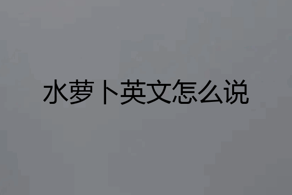 水萝卜英文怎么说