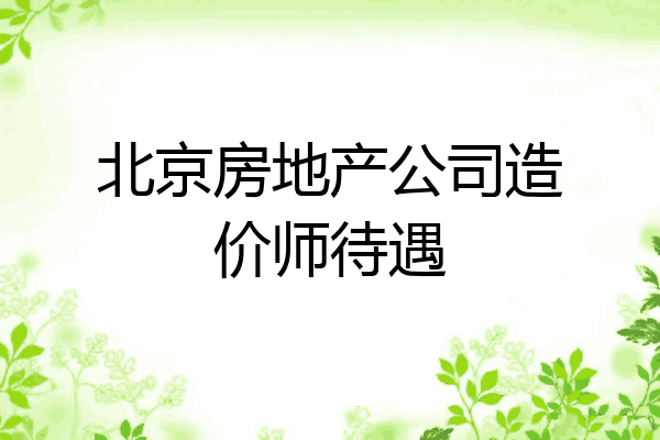 北京房地产公司造价师待遇