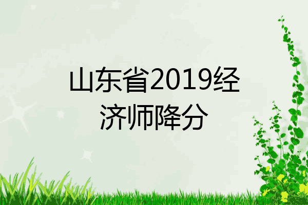山东省2019经济师降分
