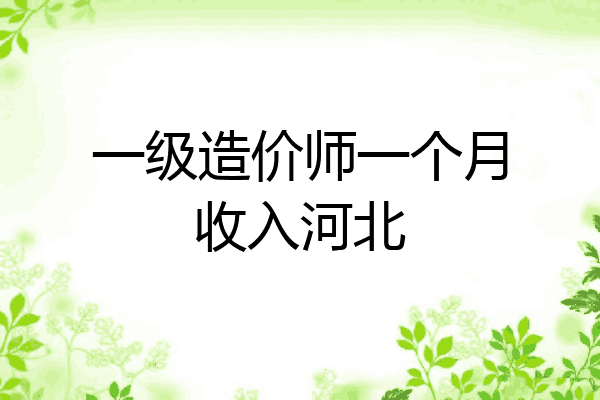 一级造价师一个月收入河北