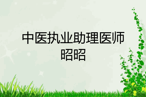 中医执业助理医师昭昭