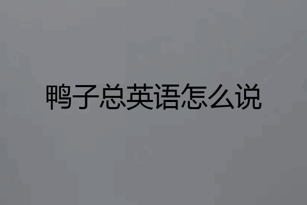鸭子总英语怎么说