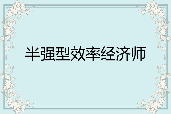 半强型效率经济师
