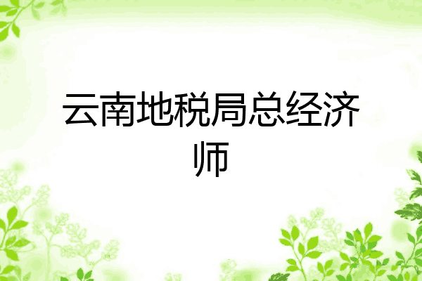 云南地税局总经济师