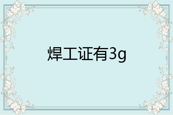 焊工证有3g