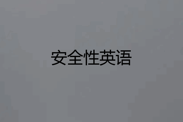 安全性英语