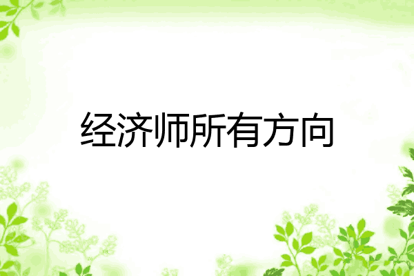经济师所有方向