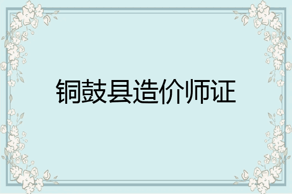 铜鼓县造价师证