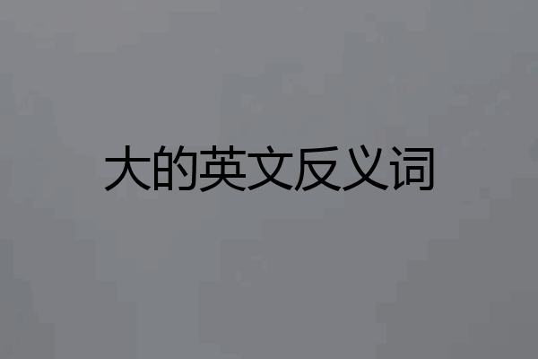 大的英文反义词