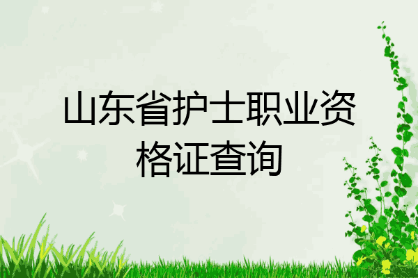 山东省护士职业资格证查询