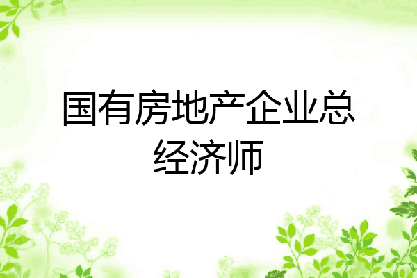 国有房地产企业总经济师