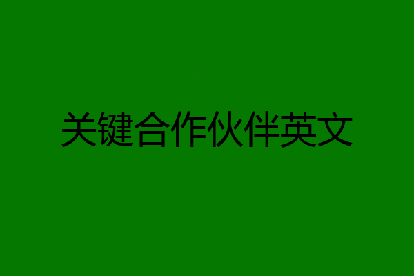 关键合作伙伴英文