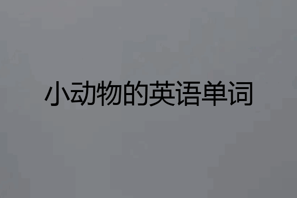 小动物的英语单词