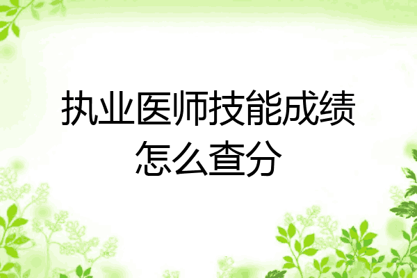 执业医师技能成绩怎么查分