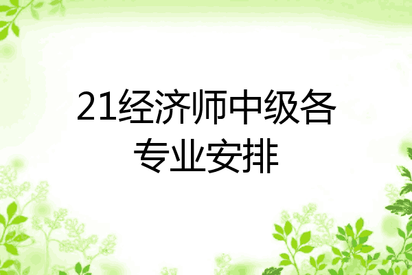 21经济师中级各专业安排
