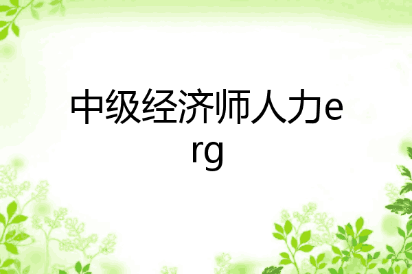 中级经济师人力erg