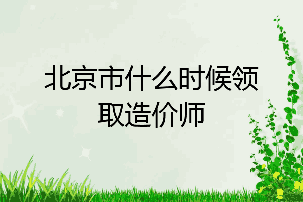 北京市什么时候领取造价师