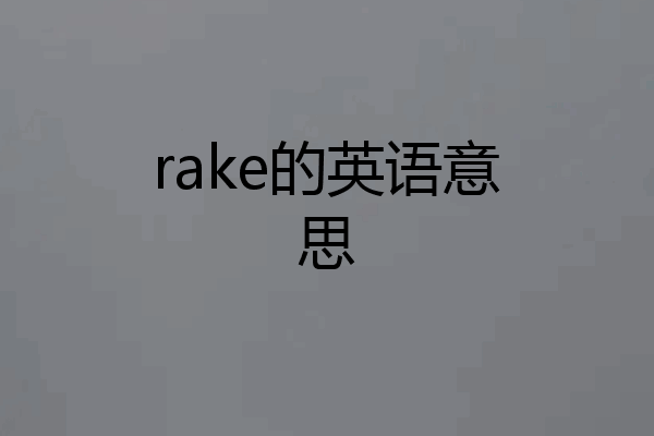 rake的英语意思