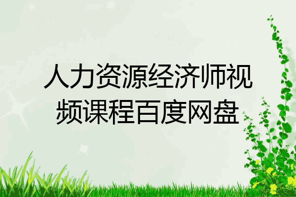 人力资源经济师视频课程百度网盘