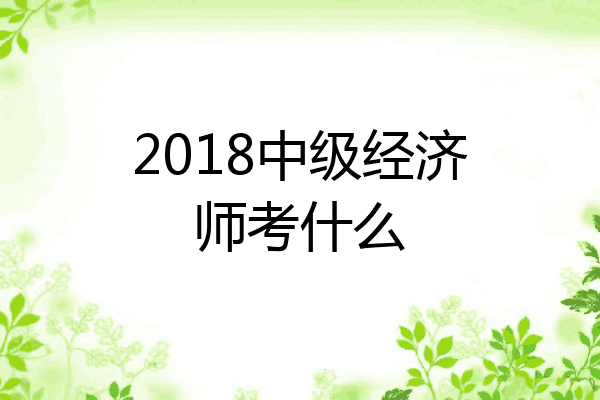 2018中级经济师考什么