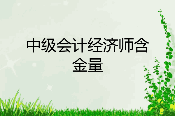 中级会计经济师含金量