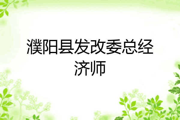 濮阳县发改委总经济师