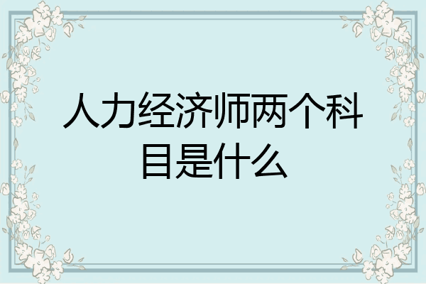 人力经济师两个科目是什么