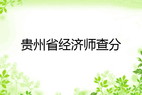 贵州省经济师查分