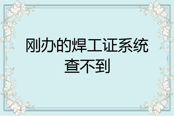 刚办的焊工证系统查不到