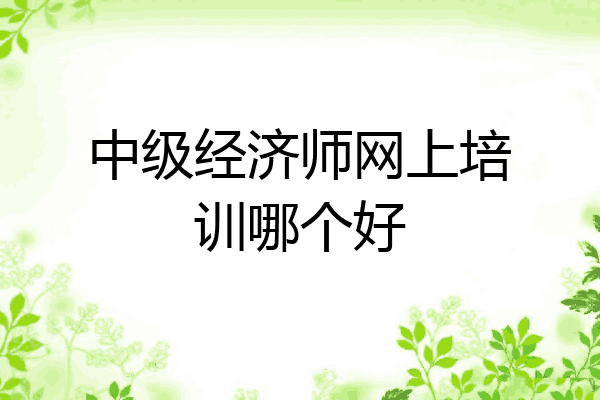 中级经济师网上培训哪个好