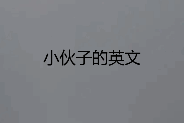 小伙子的英文