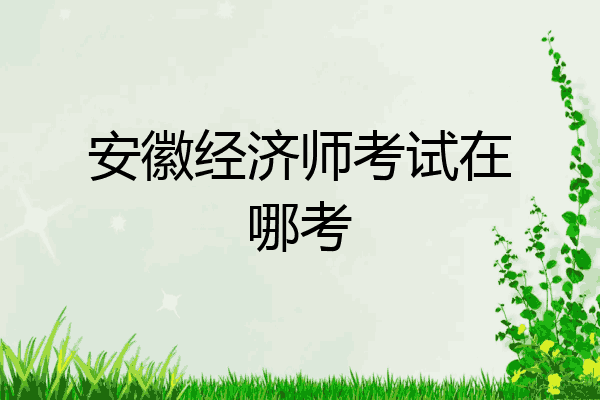安徽经济师考试在哪考