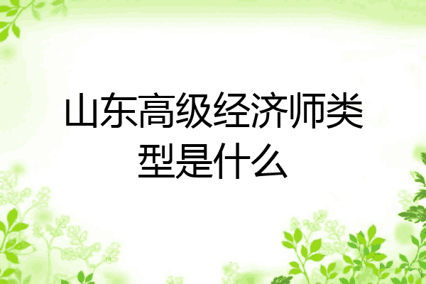 山东高级经济师类型是什么