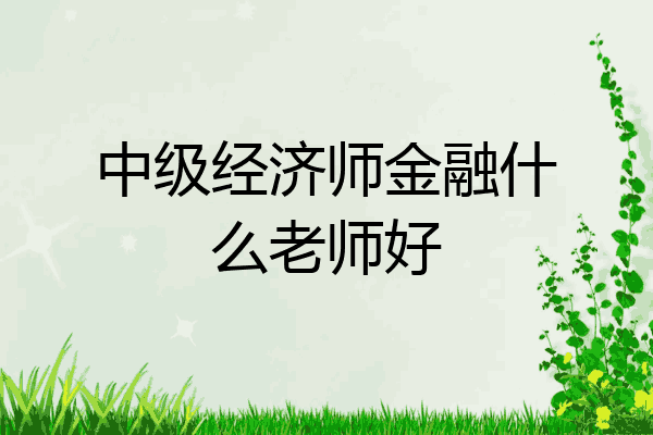 中级经济师金融什么老师好