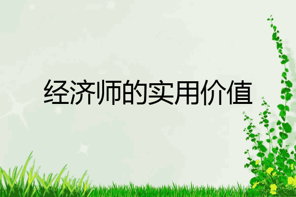 经济师的实用价值