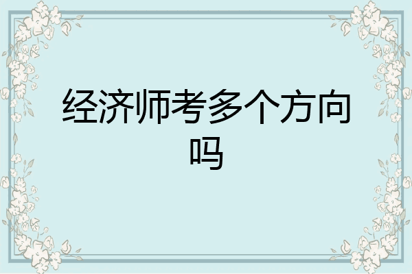 经济师考多个方向吗