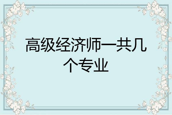 高级经济师一共几个专业